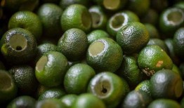 小青柑价格最新爆料,最新爆料揭示市场动态