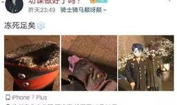 最新社会爆料网,最新社会热点事件深度剖析