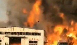 最新火灾新闻爆料视频,视频揭秘事故现场，救援行动紧张进行中